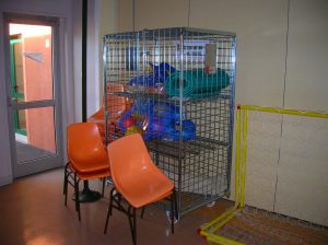 Salle polyvalente du Taillis Yerres