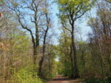 olympus-digital-camera-14