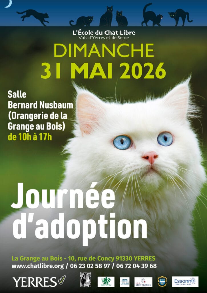 affiche adoption chats mai 2026
