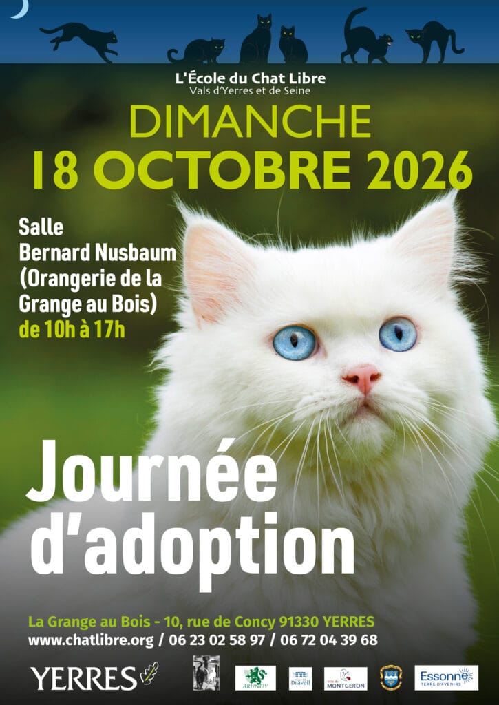 affiche chat blanc
