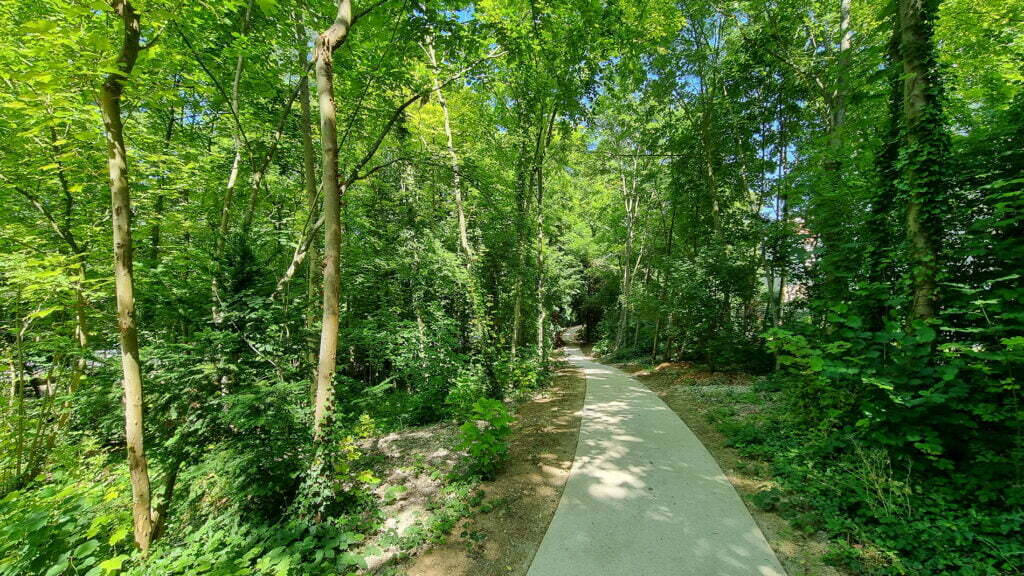 chemin au milieu des arbres dans un parc