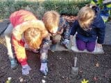 petits-jardiniers