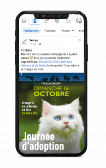 telephone-fb-chat