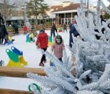 patinoire-2021