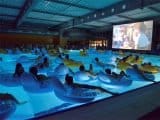 aquacine
