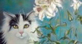 les-accros-chat
