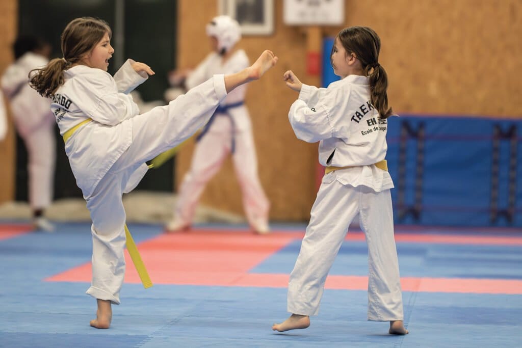 Taekwondo yerrois