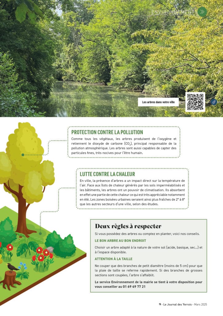 article du jdy sur les super-pouvoirs des arbres