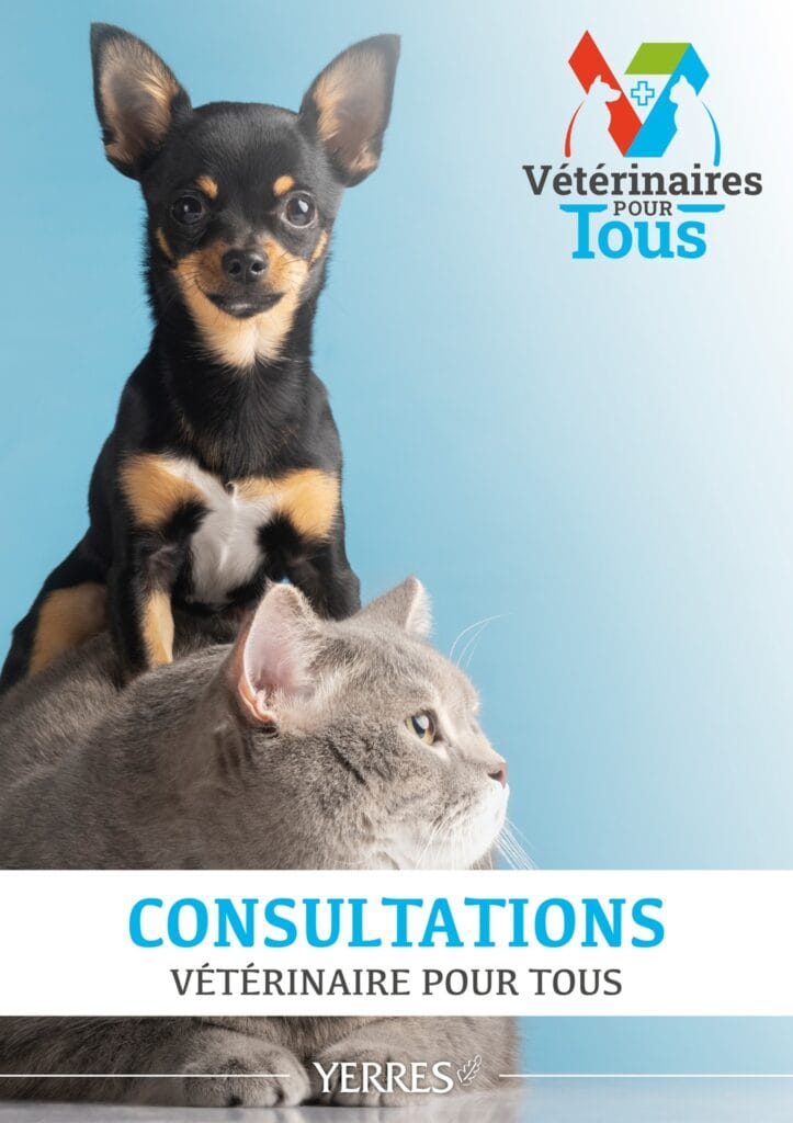 vétérinaires pour tous avec un chien au dessus d'un chat