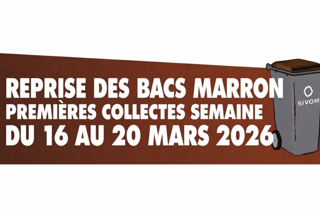 reprise bac marron 2026