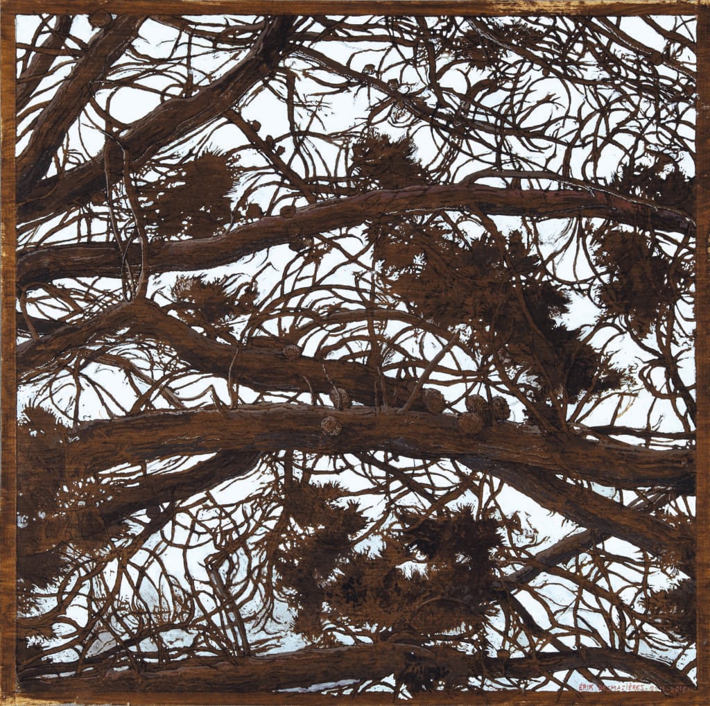 Érik Desmazières (né en 1948) Le Pin de Loperhet 2011 et 2013 Pierre noire, aquarelle, gouache et tempera sur vergé Fabriano Roma préparé, 48 x 50 cm Collection particulière, Courtesy Galerie Documents 15, Paris © Raphaël Caussimon / © ADAGP, Paris, 2026
