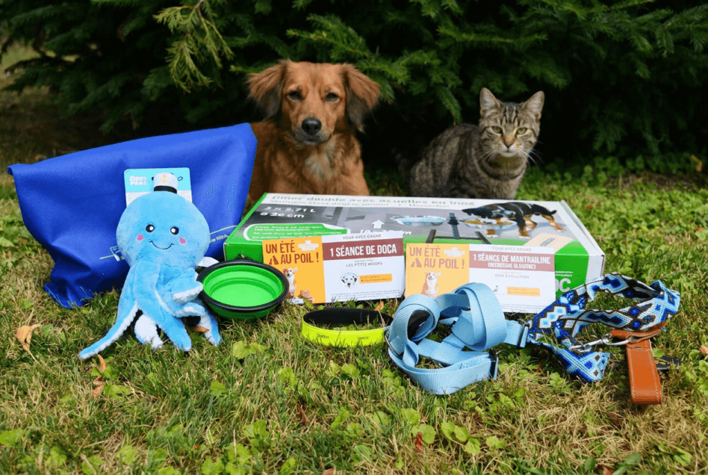 chien et chat derrière des objets pour animaux