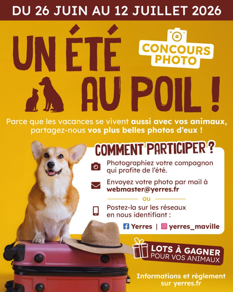 affiche concours animaux