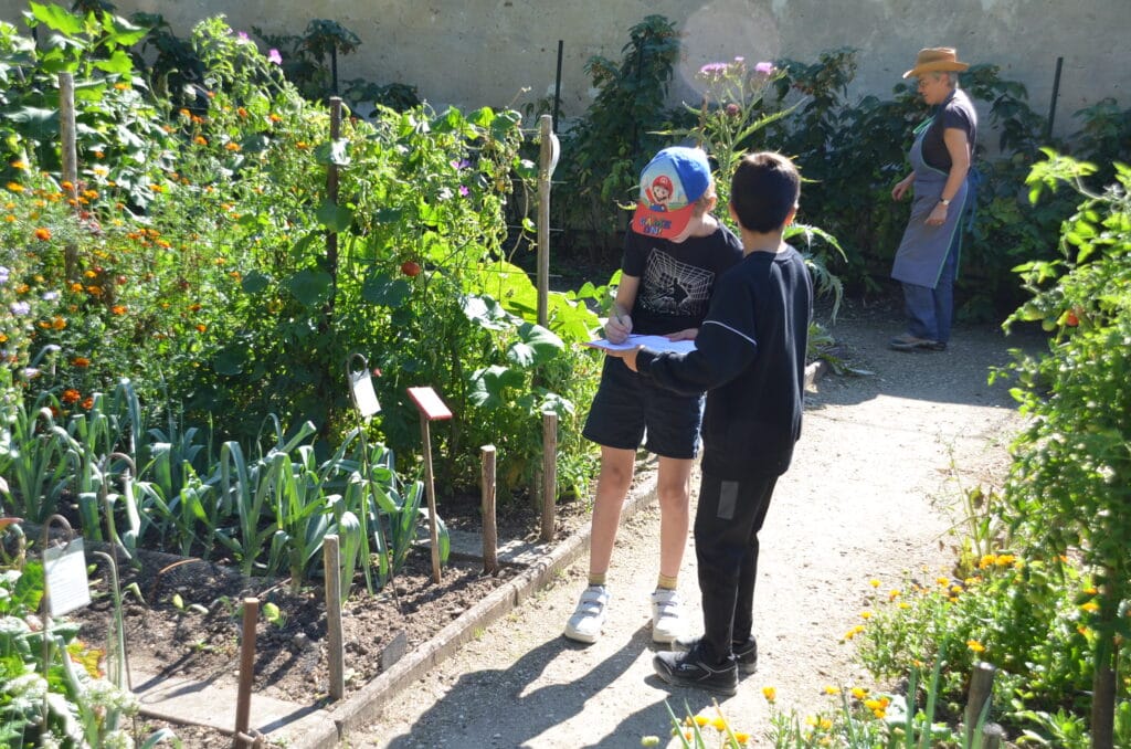 chasse au trésor potager caillebotte
