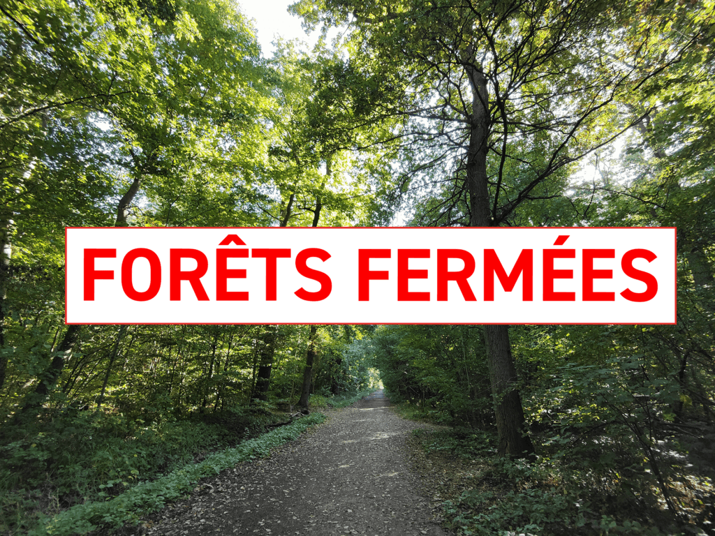 forêt avec panneau fermé