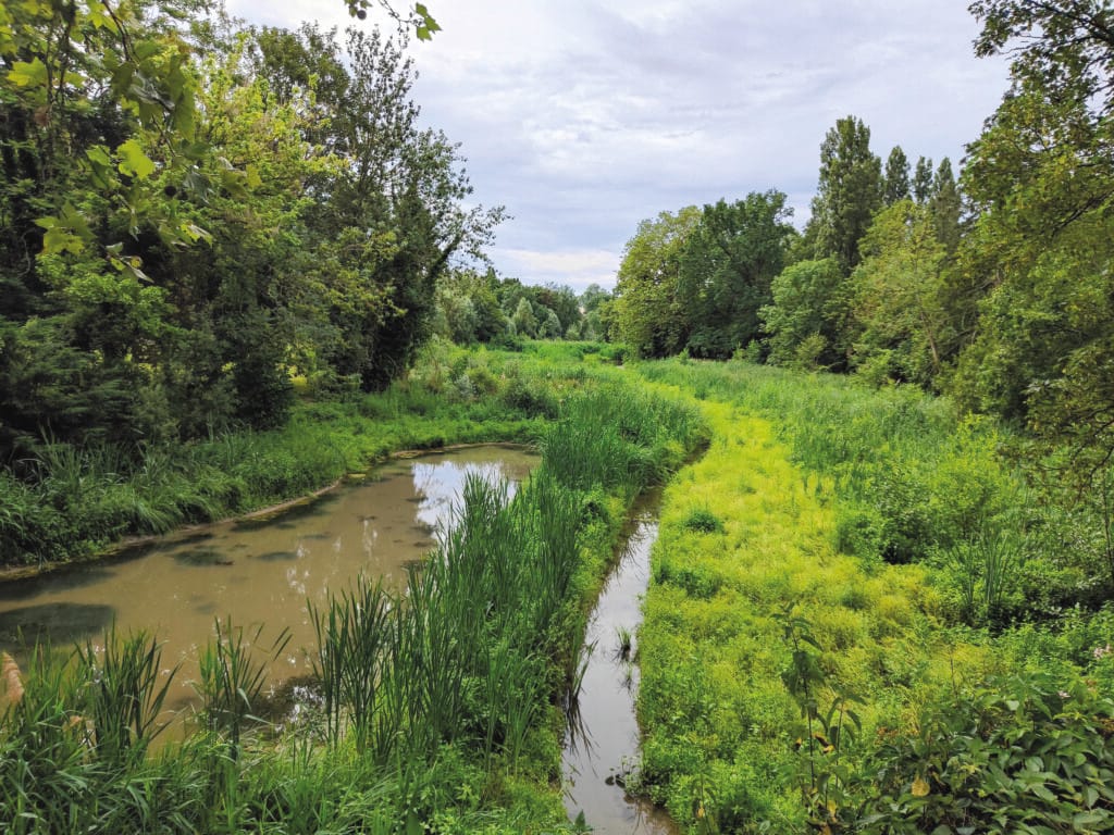 île panchout Yerres