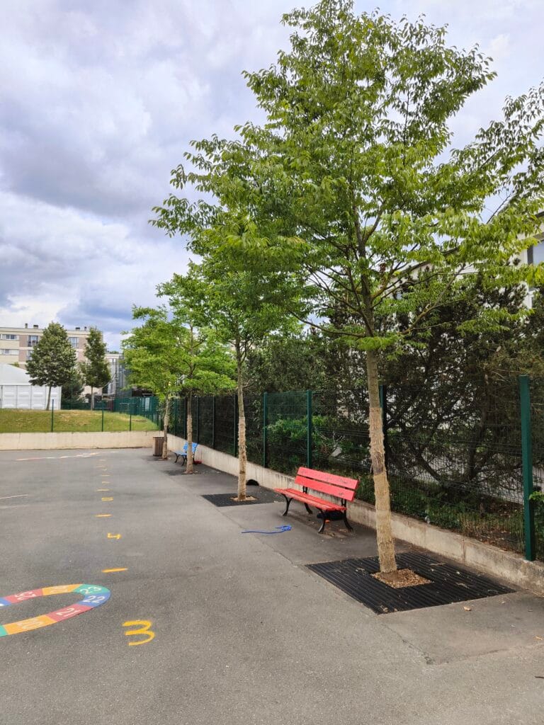 LA COUR DES CAMALDULES VÉGÉTALISÉE