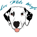 Logo-Def-ssFond