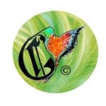 logo-trensparent-1