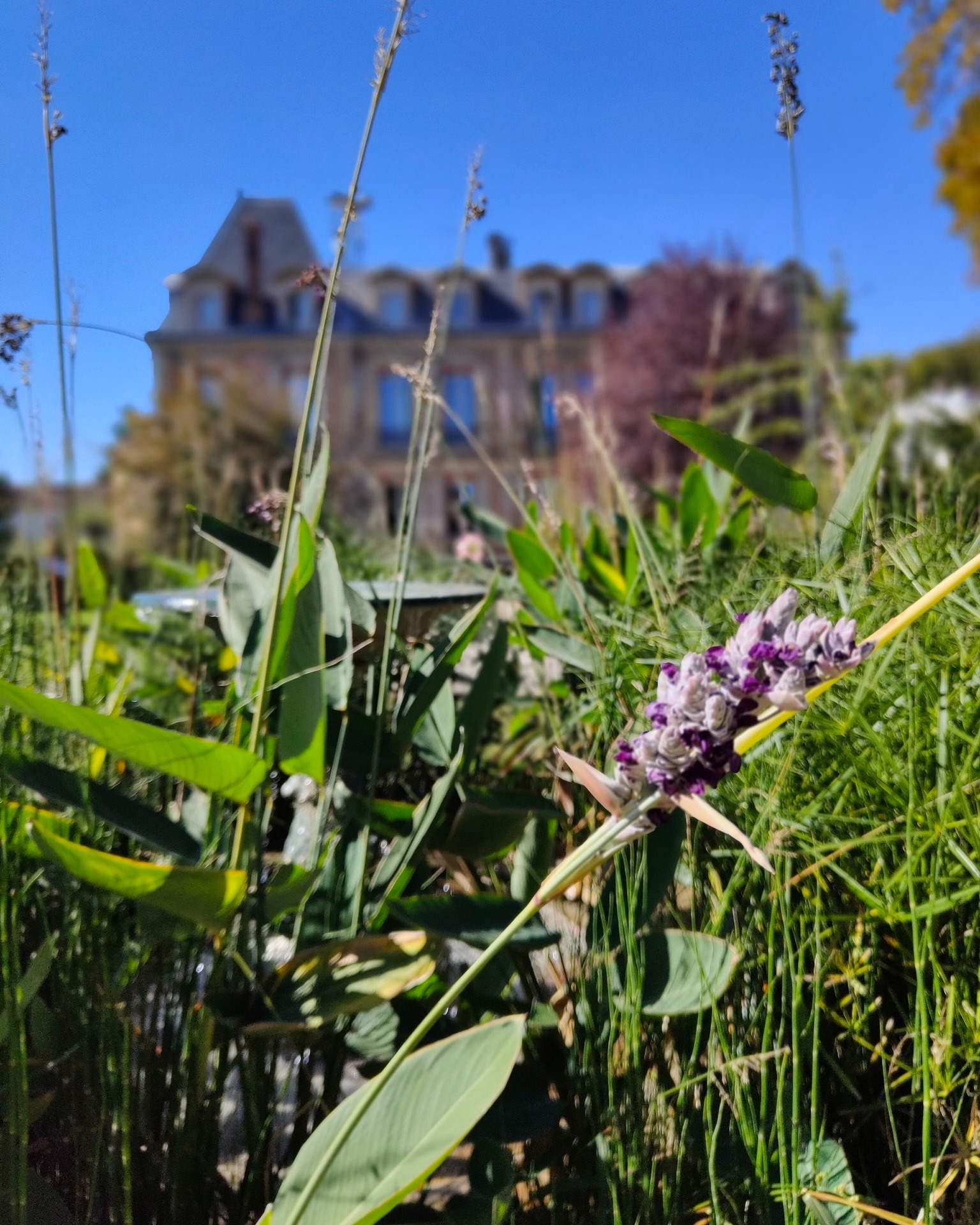 📸 Dans l'appareil du service communication en septembre : 🏛️ La Ville est riche d’un patrimoine culturel et…